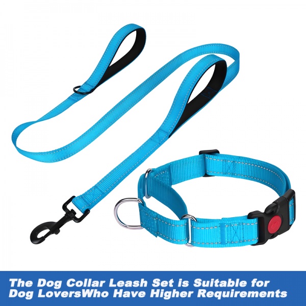 rope lead and collar 