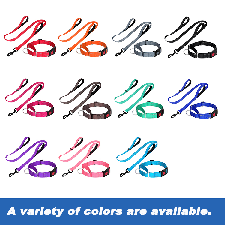 rope lead and collar 
