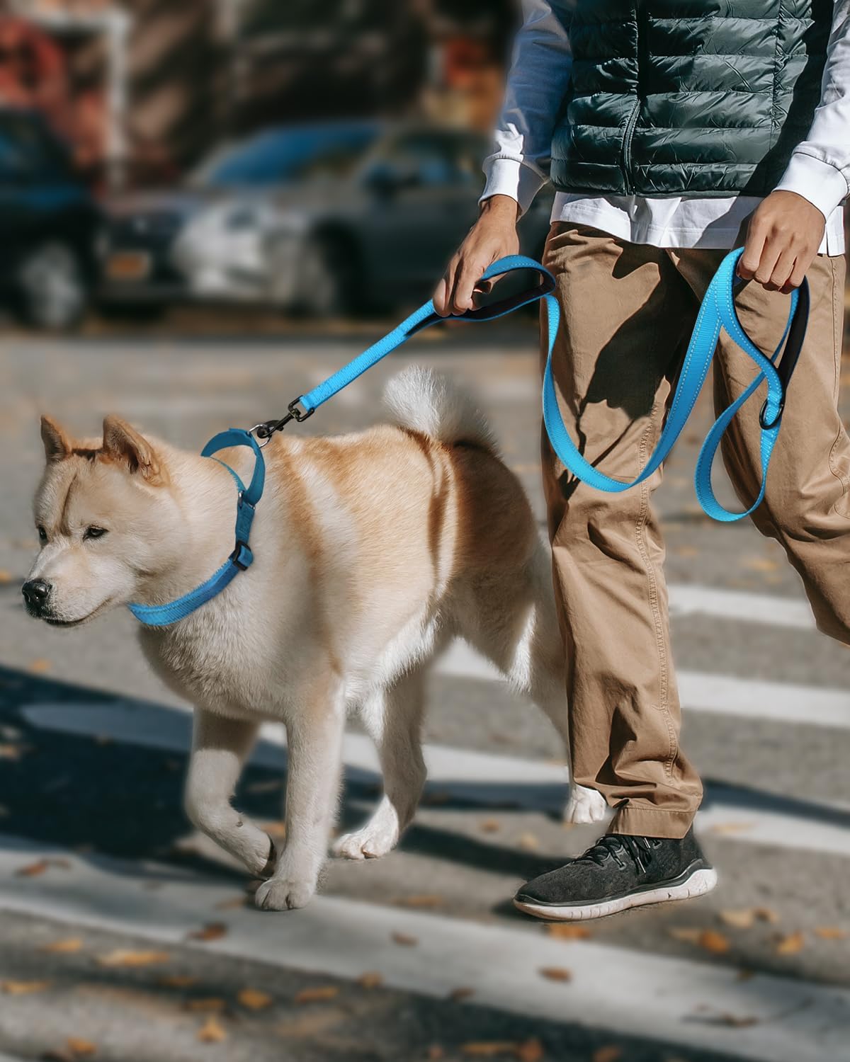 rope lead and collar 
