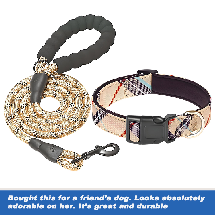dog collar and leash