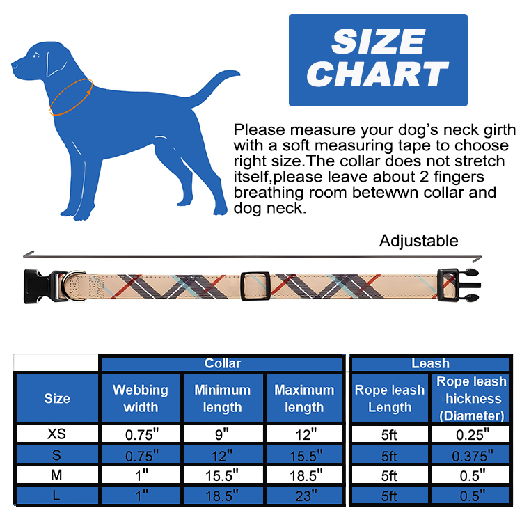 dog collar and leash