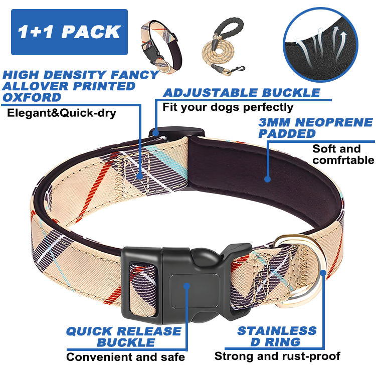 dog collar and leash