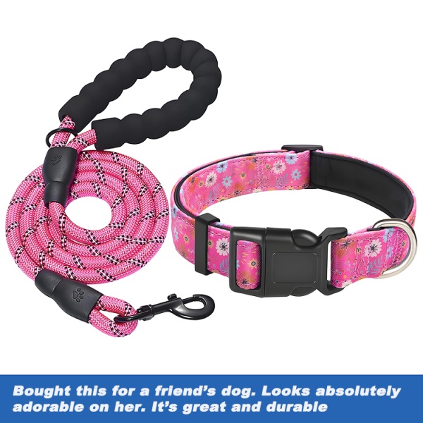 wholesale collars and leashes