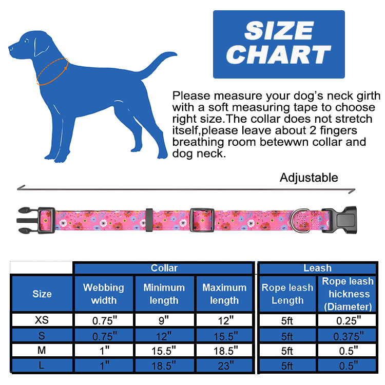 wholesale collars and leashes