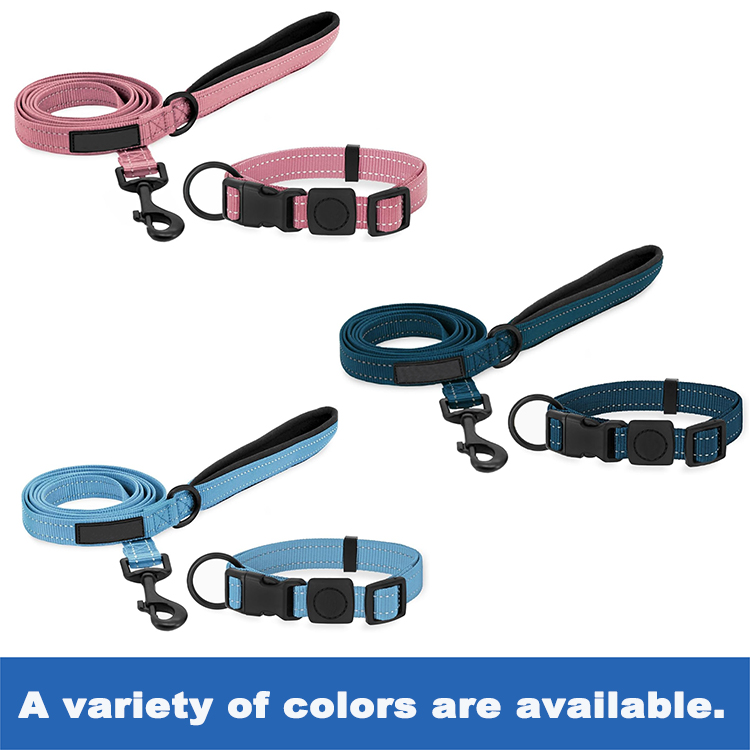 matching dog collar and lead set