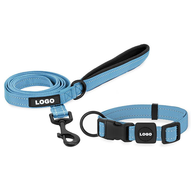 matching dog collar and lead set