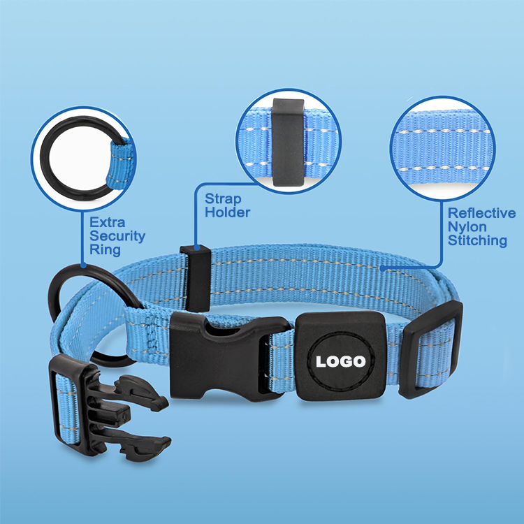 matching dog collar and lead set