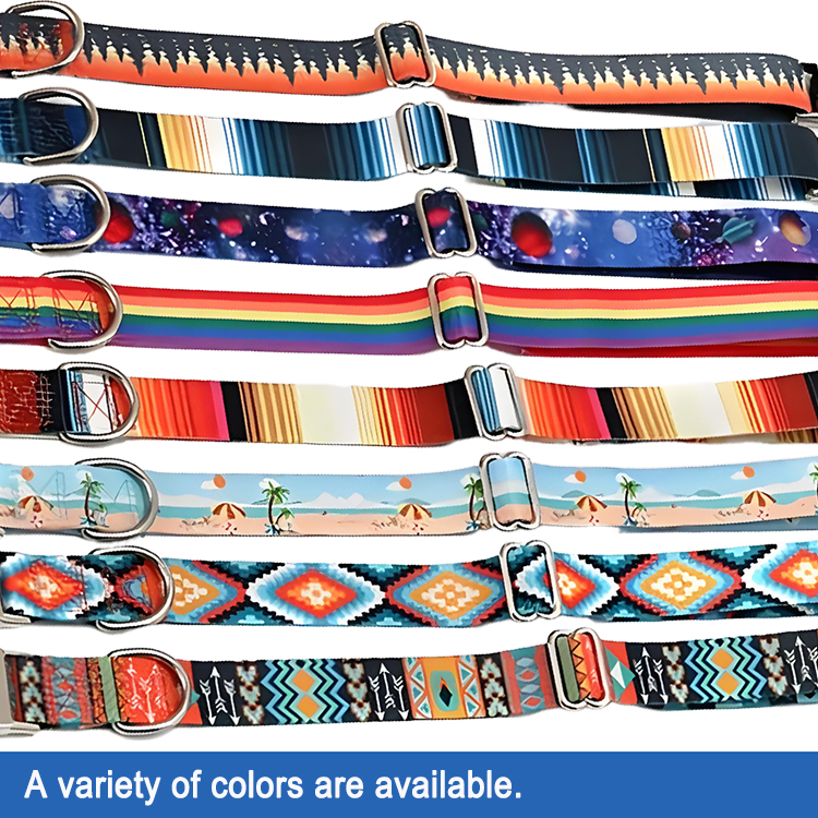 designer dog collar and lead