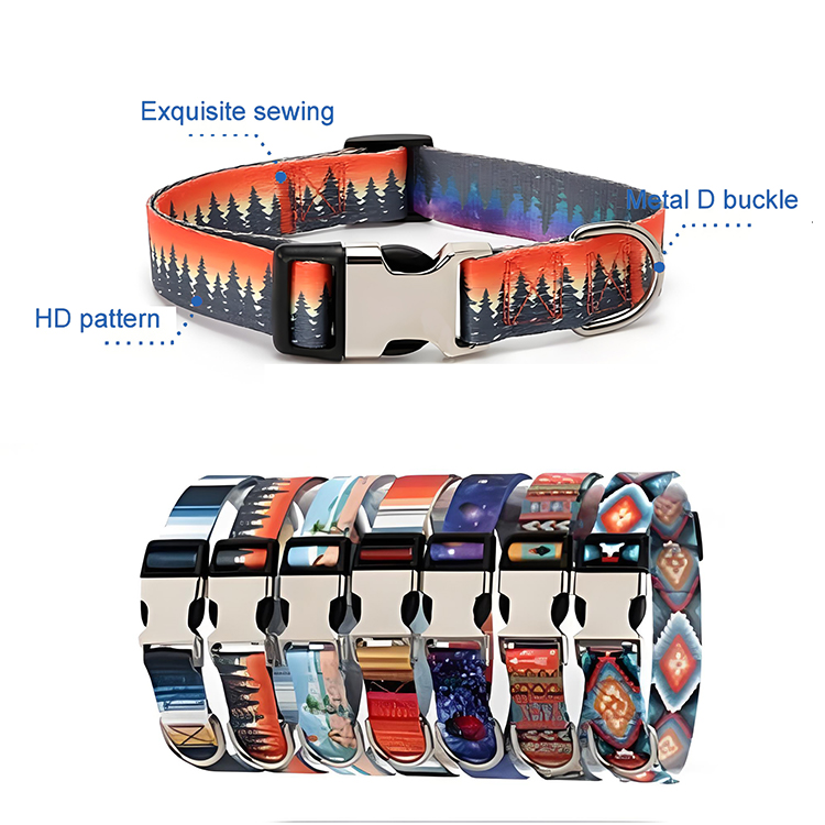 designer dog collar and lead