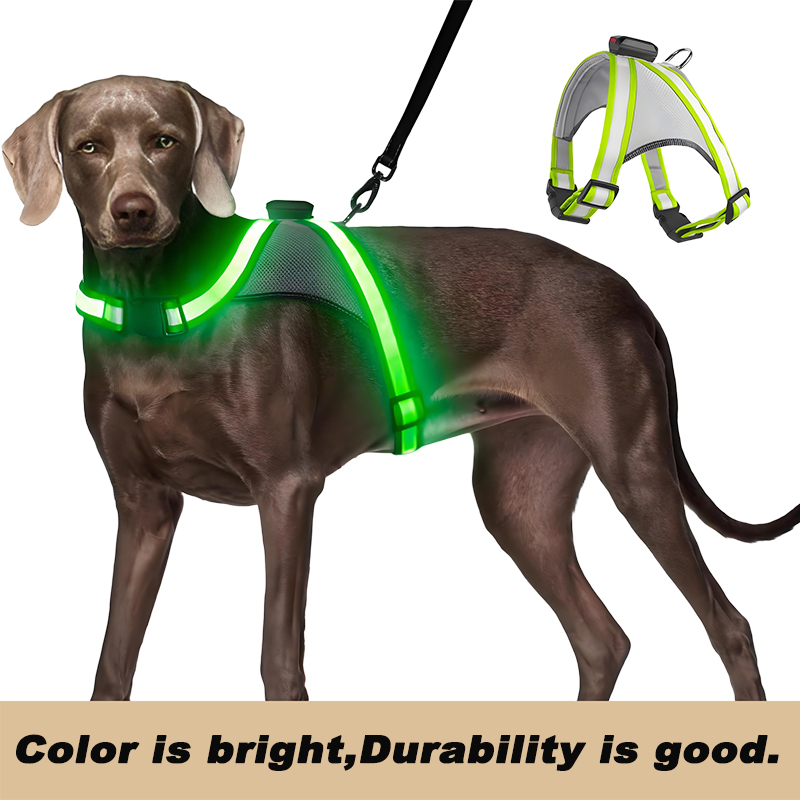 LED Dog Harness, USB Rechargeable 