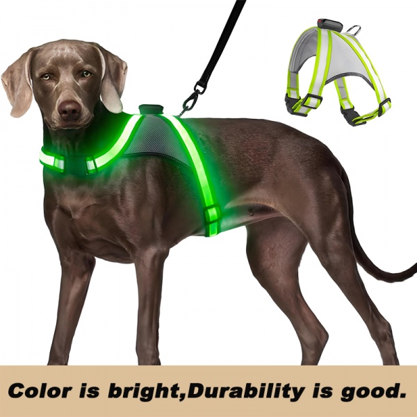 LED Dog Harness, USB Rechargeable 