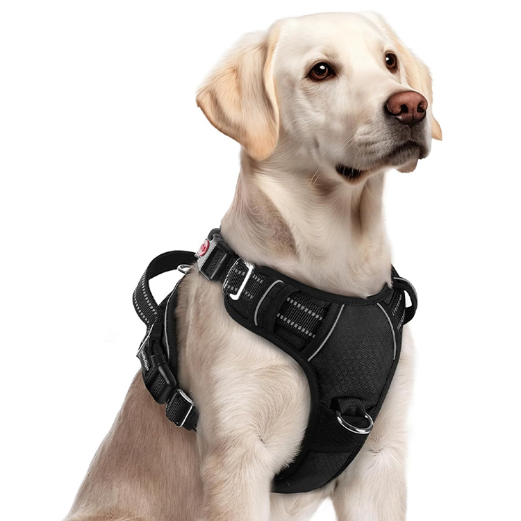 No Pull Dog Harness