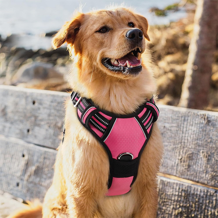 No Pull Dog Harness