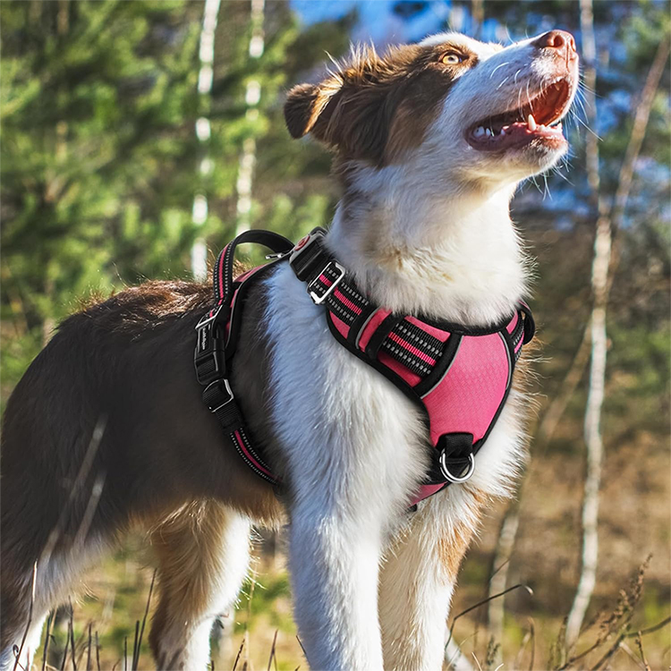 No Pull Dog Harness