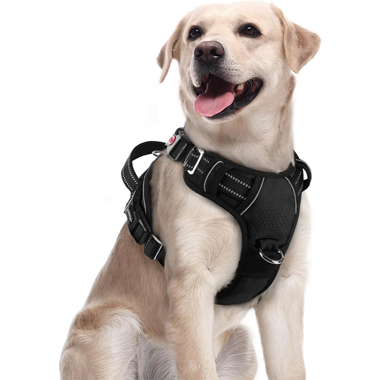 No Pull Dog Harness