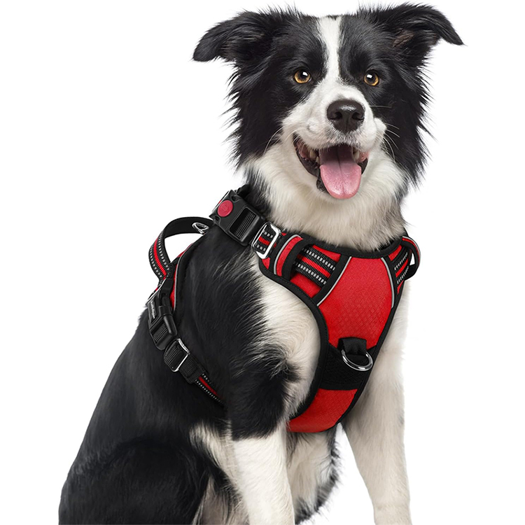 No Pull Dog Harness