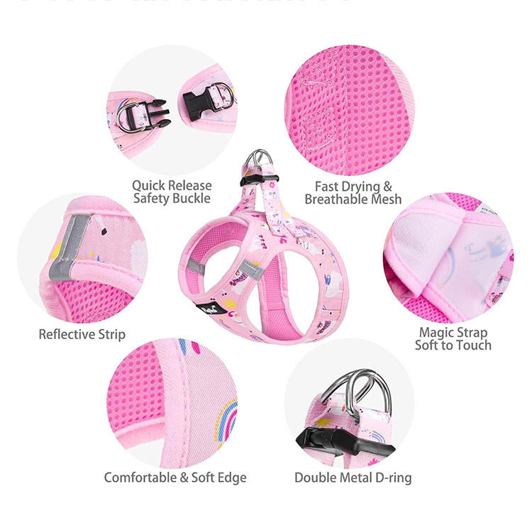 Wholesale 5-in-1 Dog Harness Leash Collar Set