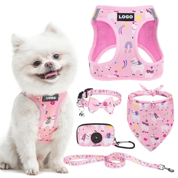 Wholesale 5-in-1 Dog Harness Leash Collar Set