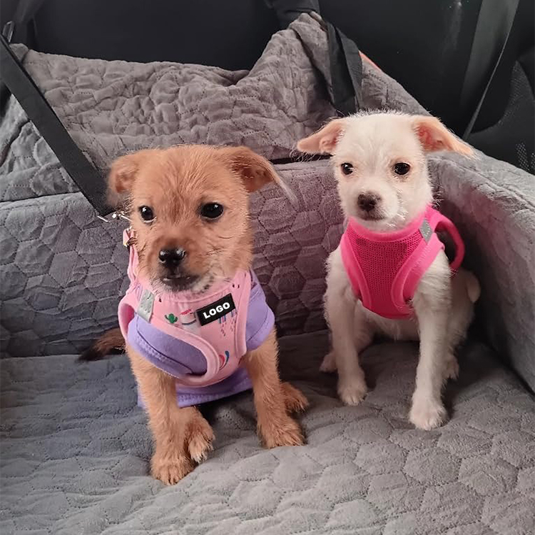 Wholesale 5-in-1 Dog Harness Leash Collar Set