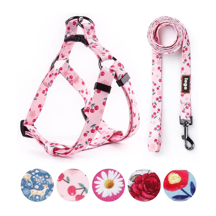 personalized dog harness and leash set