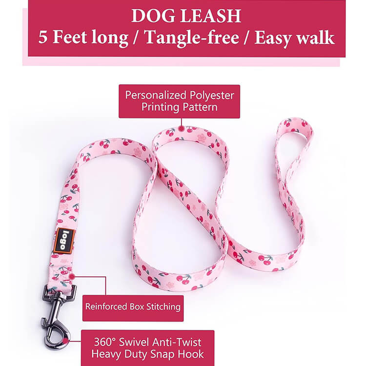 personalized dog harness and leash set