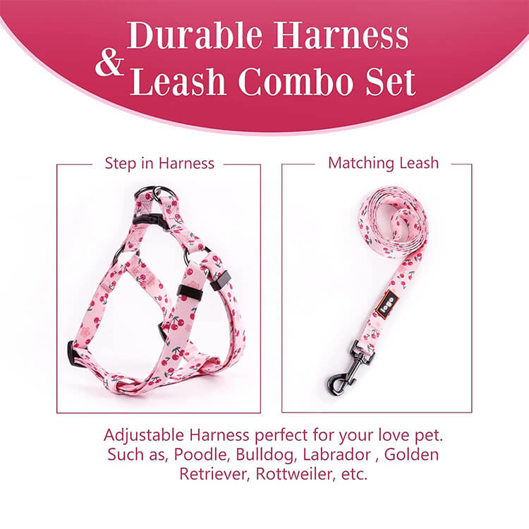 personalized dog harness and leash set