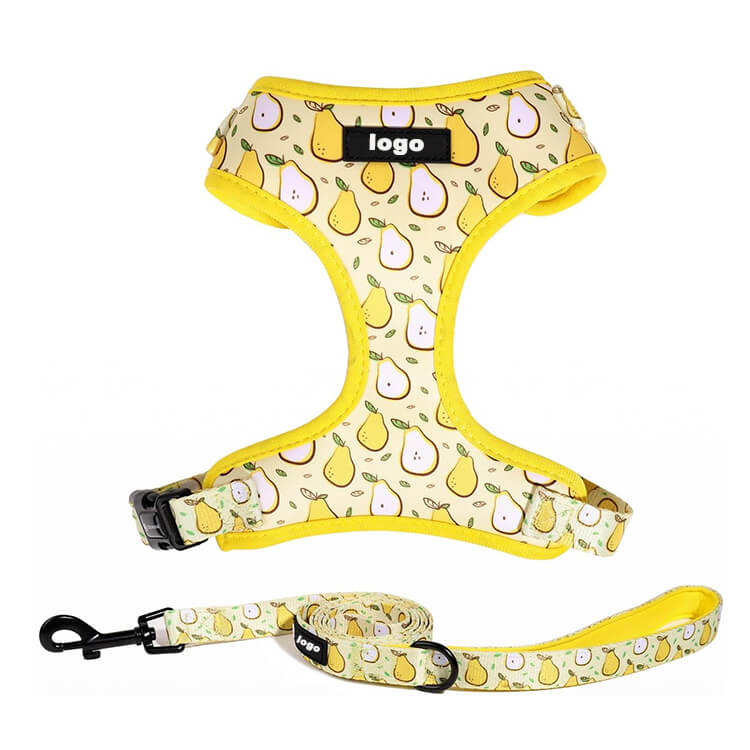 Wholesale OEM Puppy Harness and Lead Set
