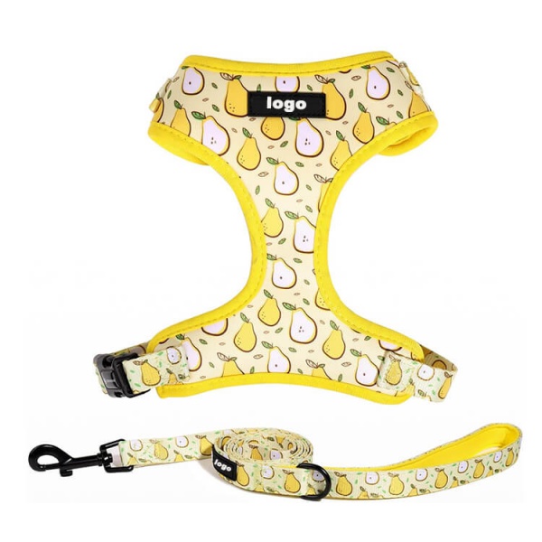 Wholesale OEM Puppy Harness and Lead Set