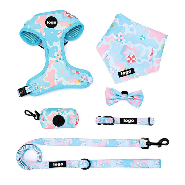  Matching Harness Collar and Leash Set 