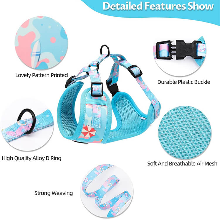  Matching Harness Collar and Leash Set 