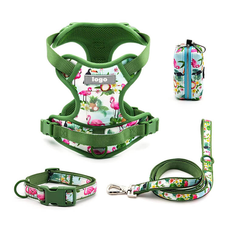 Matching Collar And Harness