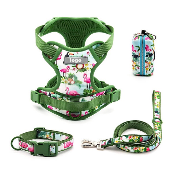 Matching Collar And Harness