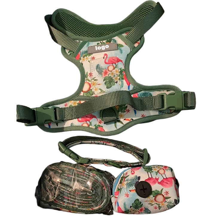 Matching Collar And Harness