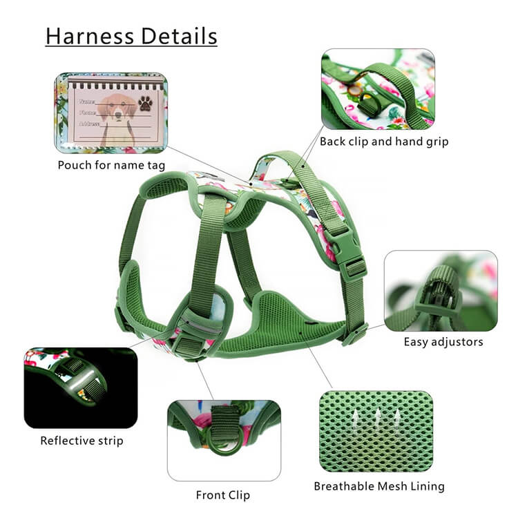 Matching Collar And Harness