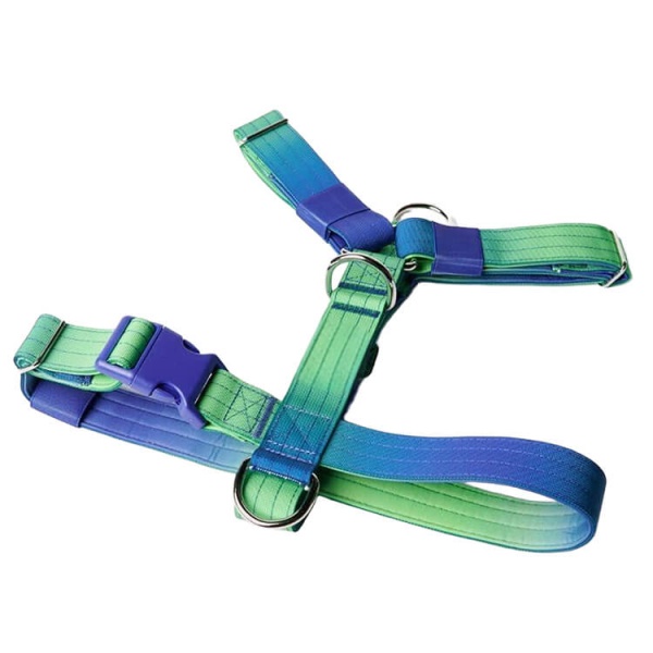 Matching Harness Leash And Collar