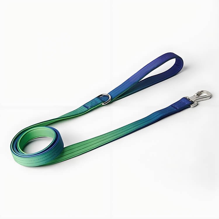 Matching Harness Leash And Collar