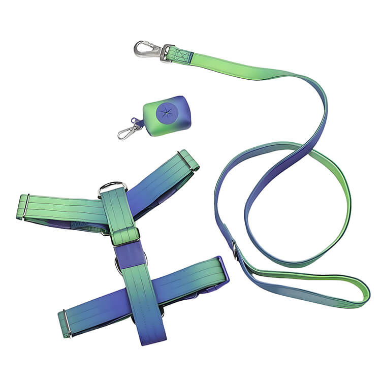 Matching Harness Leash And Collar