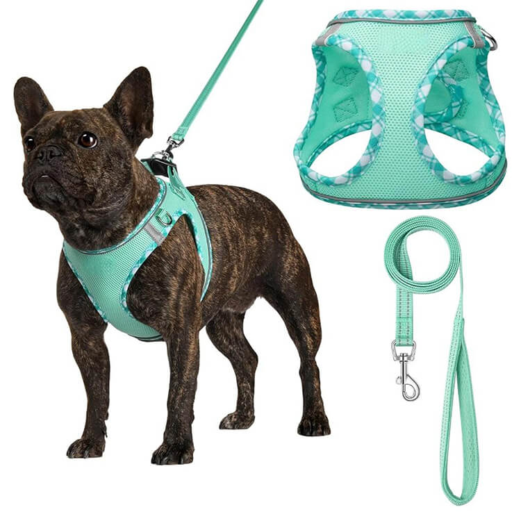  dog collar harness and lead sets