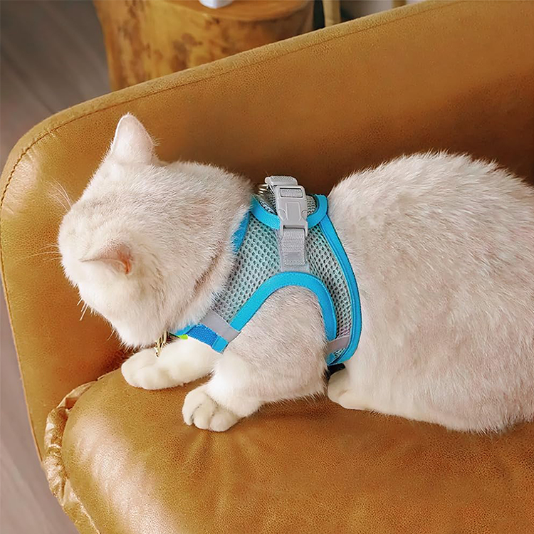 Puppy Harness Manufacturer China 