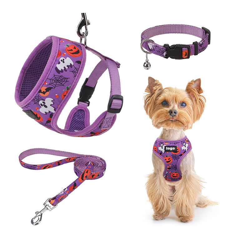 Dog Leash Harness And Collar Set