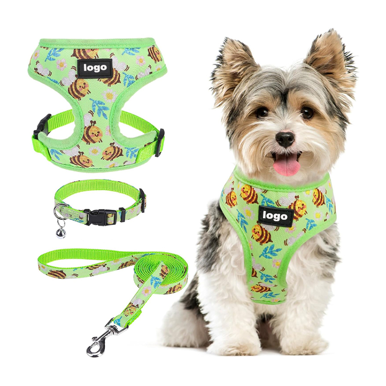 Dog Leash Harness And Collar Set