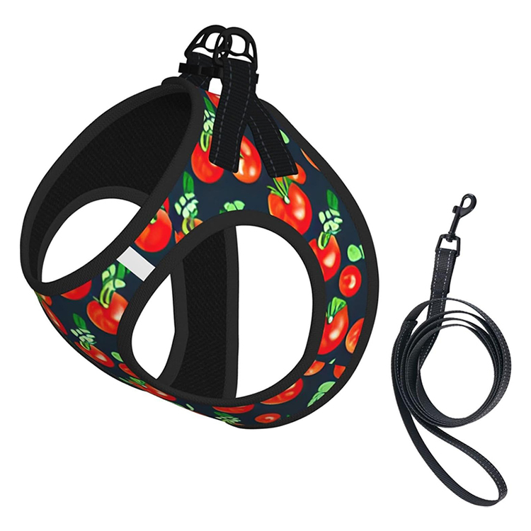 Matching Harness And Leash Set