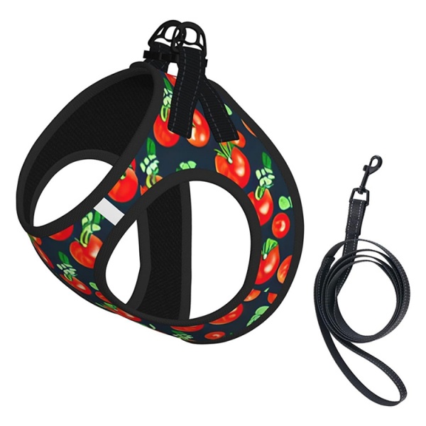 Matching Harness And Leash Set