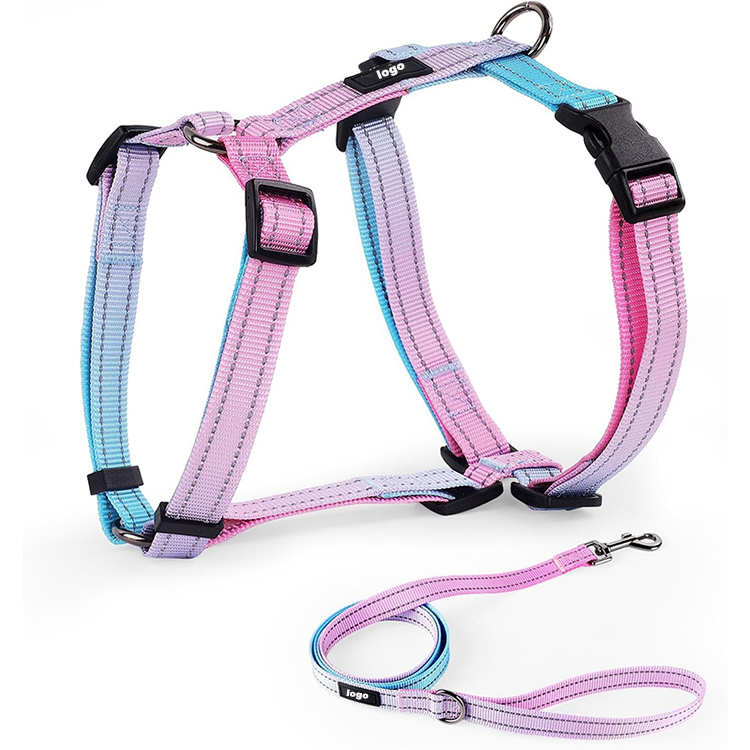 Dog Leash Harness and Collar Set Supplier
