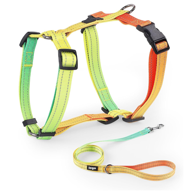 Dog Leash Harness and Collar Set Supplier