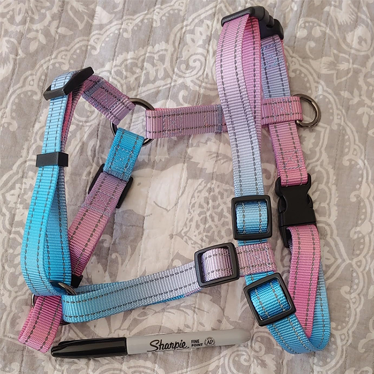 Dog Leash Harness and Collar Set Supplier