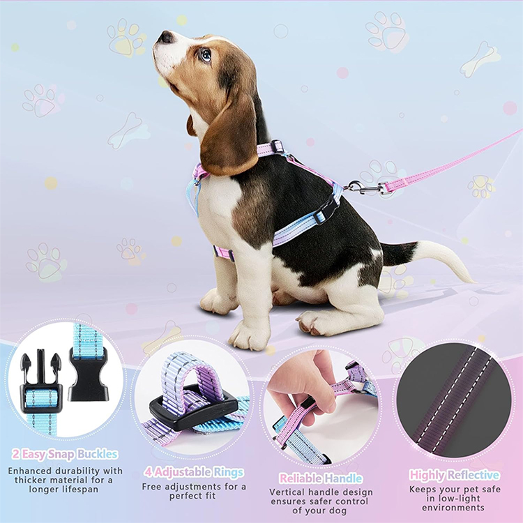 Dog Leash Harness and Collar Set Supplier
