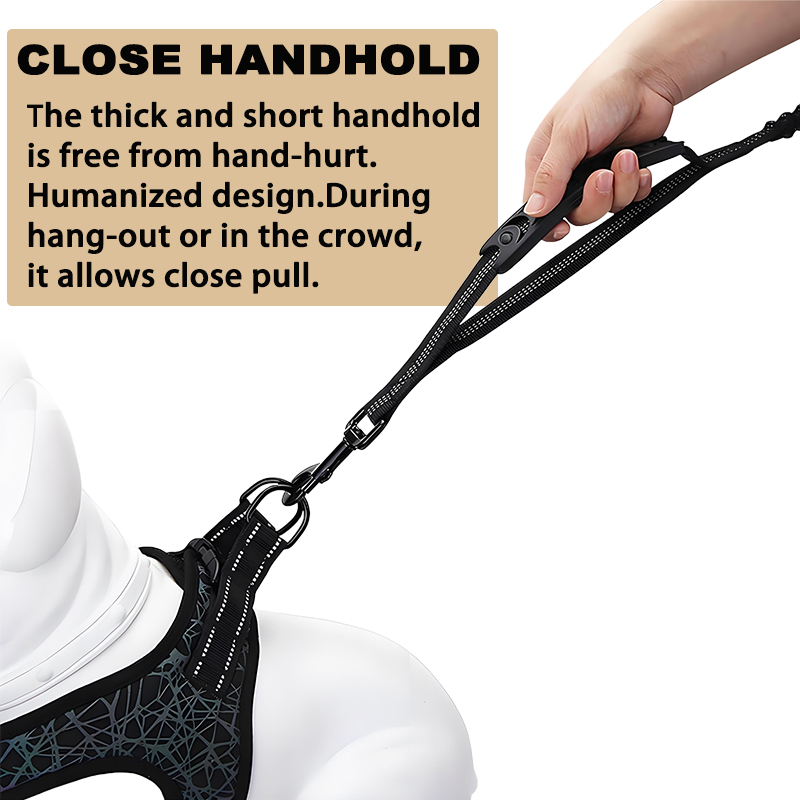Heavy Duty Elastic Dog Leash