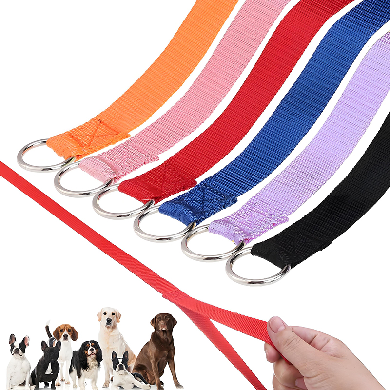 Slip Lead Dog Leash 6 FT