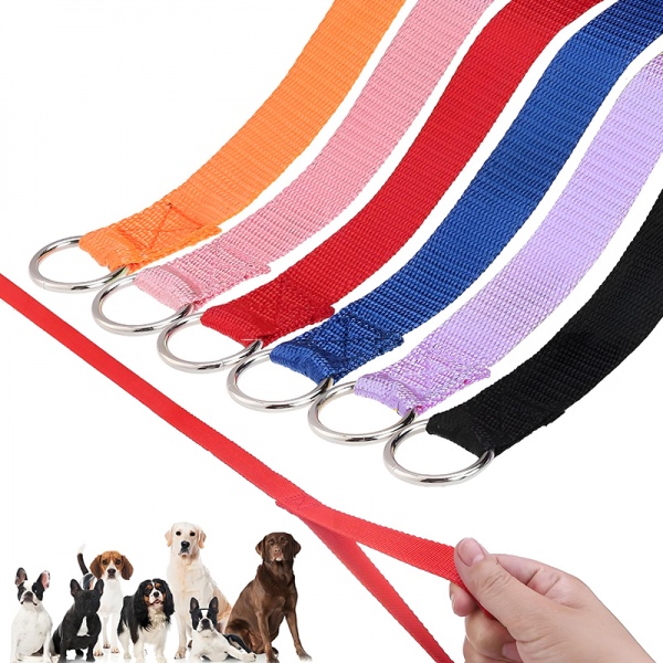 Slip Lead Dog Leash 6 FT